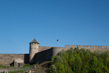 Fototapeta premium Ivangorod Fortress on the banks of the Narva River on a sunny May day