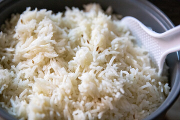Steamed White Basamati Rice