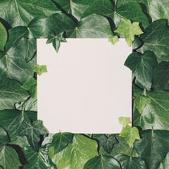 Fototapeta premium Creative layout made of flowers and leaves with paper card note. Flat lay. Nature concept