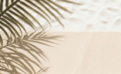 Fototapeta na wymiar white sand texture with palms shadow trendy summer background