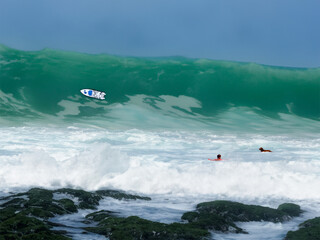 man and dog at tsunami wave the end