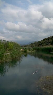  Clear water in the wetland