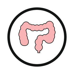 Intestine, human Intestine, body parts Intestine icon
