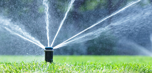 Irrigation system in home garden. Automatic lawn sprinkler watering green grass. Selective focus.