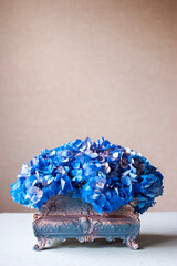 blue hydrangea in antique moneysafe