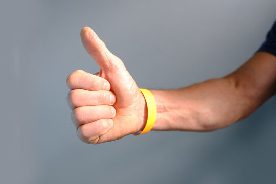 modern kitchen utensils, white toaster for cooking roasted sandwich toast, concept of healthy eating, dieting, snacking at work, at school, student fast food