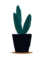 Plant in pot vector illustration. Cartoon flat different indoor potted decorative houseplant for interior home or office decoration, green garden floral icon isolated on white.