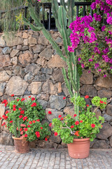 Stone wall decorated with flower pots