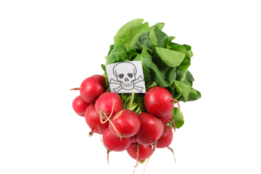 Radish with poison icon isolated on transparent or white background. Contaminated food concept.