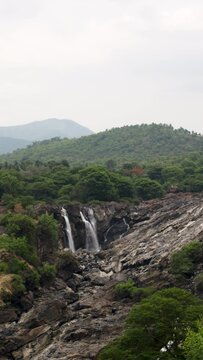 Barachukki Waterfalls in Summer Vertical 