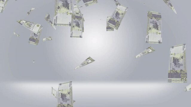 20 Saudi Riyal on White Background in 4K Resolution