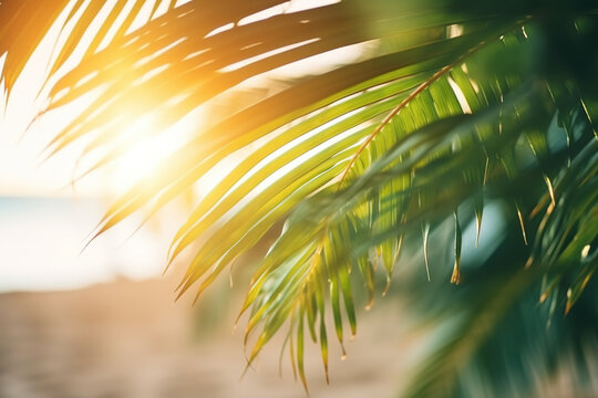 Beautiful nature green palm leaf on tropical beach with bokeh sun light. Generative AI.