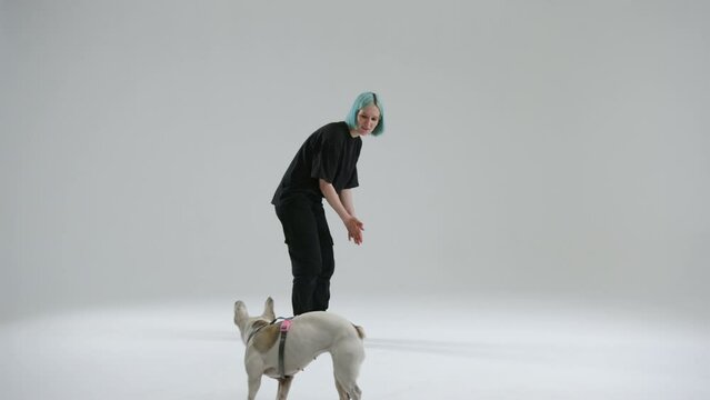 Young female dog trainer uses come marker to French bulldog in process of training. The pet performs the command, comes to the master and sits at her feet. High quality 4k footage