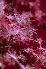 Snowflake ultra macro photograph