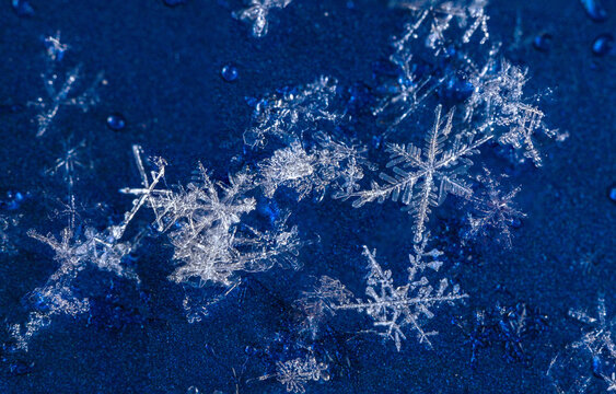 Snowflake ultra macro photograph