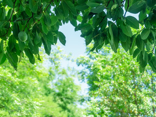 natural green leaves with blurred background. 