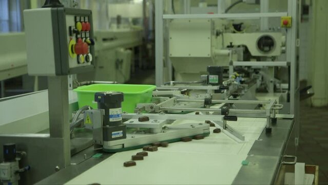 static medium shot of freshly made chocolates on a conveyor line in a chocolate factory