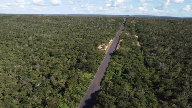 Small highway in the middle of the Brazilian savannah with cars or trucks passing by, sertão of northeastern Brazil