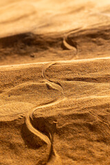 snake wave foot step track in the sand in the desert detail