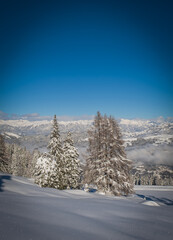 Snowy Trees in Nassfeld Ski Resort in Austria. Beautiful Winter Scenery with Trees Covered by Snow and Blue Sky. January 2022
