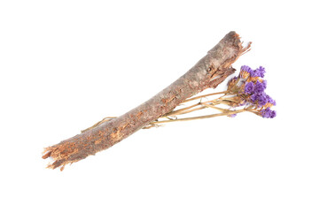 Dry tree twig and flowers on white background, top view