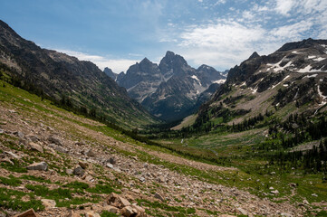 Creek Cuts Through Green Valley Toward Cascade Canyon