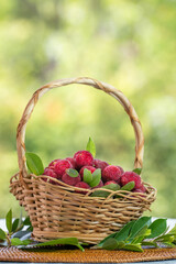 Fototapeta na wymiar Arbutus berries Fruit or Red Yangmei in basket over blur greenery background, Red Bayberry, Yumberry, yamamomo, Waxberry in basket on green bokeh background
