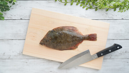 まな板の上のマガレイ(真鰈)