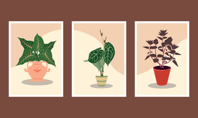 Flat Design Boho Wall Art