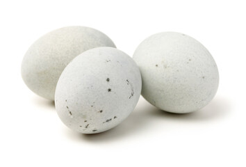 preserved duck eggs on white background
