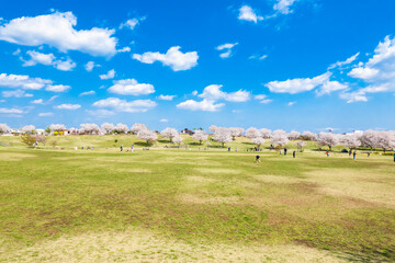 綺麗な公園「大和ゆとりの森」 in 神奈川県大和市