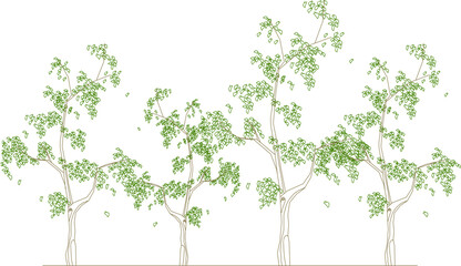 Vector illustration sketch of a forest full of lined trees of various sizes
