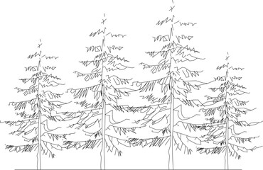 Vector illustration sketch of a forest full of lined trees of various sizes
