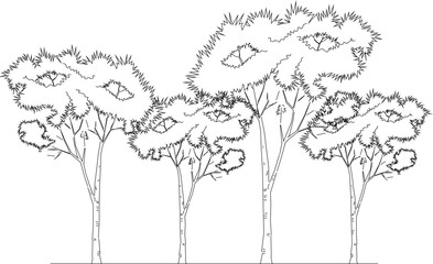 Vector illustration sketch of a forest full of lined trees of various sizes