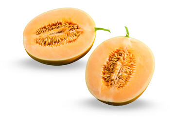 Golden Melon isolated on white background.