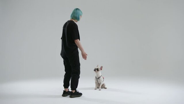 Back view of process of training of French bulldog using come marker by young dog trainer. The pet obediently performs the command and comes to the master. High quality 4k footage