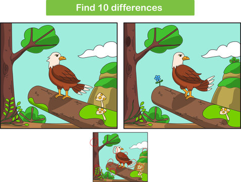 Cartoon eagle. Found 10 differences. Kids Education games. Cartoon vector illustration