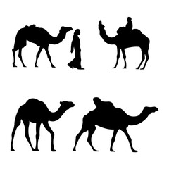 Set Camel Silhouettes decoration Vector Illustration for design,decoration,and illustration