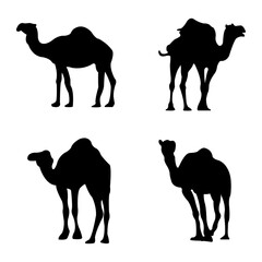 Set Camel Silhouettes decoration Vector Illustration for design,decoration,and illustration