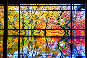 Maple Leaves in Rurikoin, Kyoto 