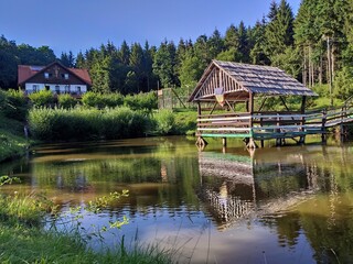 Obraz premium Pontoon on the lake at the Paradisul Verde Guesthouse, Bretea, Romania, Bistrita