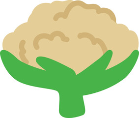 Obraz premium cauliflower