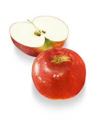 リアルなタッチのリンゴのイラスト