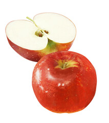 リアルなタッチのリンゴのイラスト