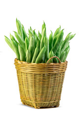 Green beans in a bamboo storage basket isolated on white background