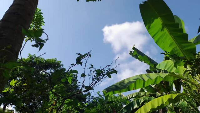 Timelipse movement of clouds against a blue sky background