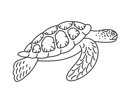 Sea turtle painting, cute cartoon style.