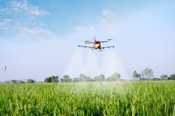 Using drone technology for agriculture.