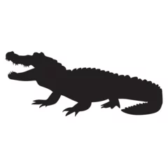 Fototapeten This is a Crocodile Vector silhouette © Big Dream