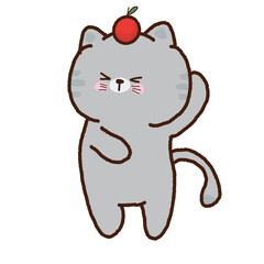 Cute cat